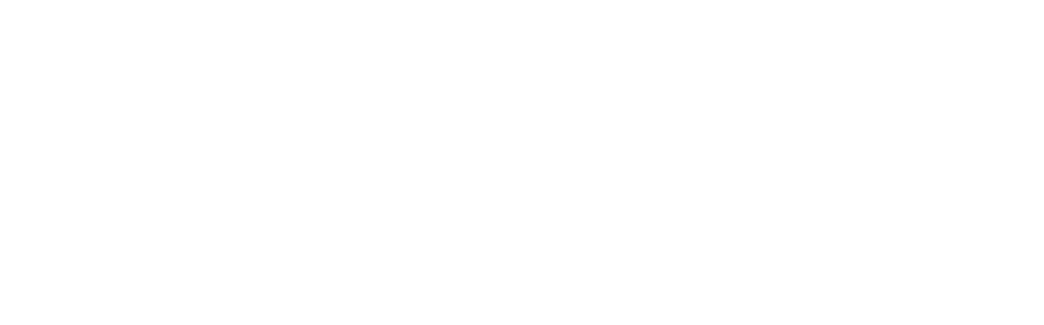 Mobiler Abnehmservice und Ernährungsberatung